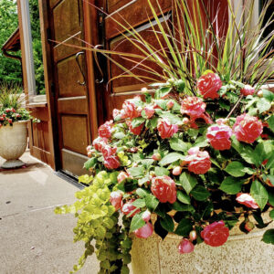 door-flower-decorations-shrine-our-lady-guadalupe-church-la-crosse-wisconsin-gallery Flowers blooming in front of the entrance door at Our Lady of Guadalupe Shrine in La Crosse, Wisconsin.
