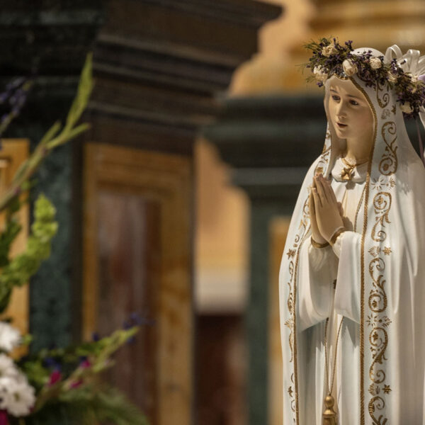 saint-prayer-mary-statue-white-gold-shrine-our-lady-guadalupe-church-la-crosse-wisconsin-gallery Statue of Mother Mary wearing a floral crown and praying at Our Lady of Guadalupe Shrine in La Crosse, Wisconsin.