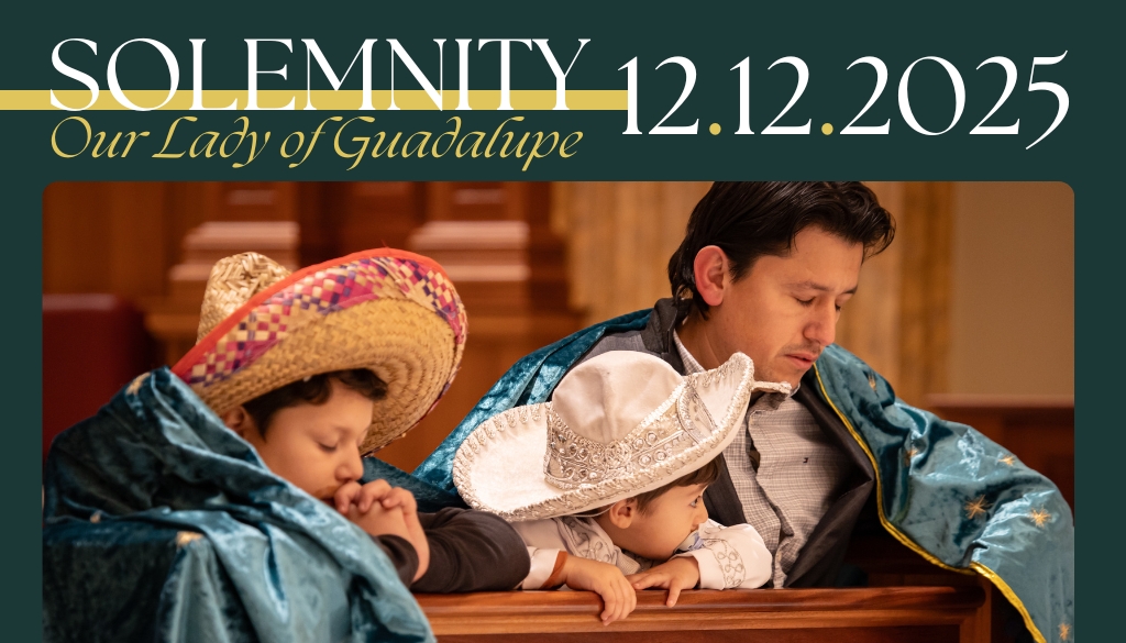 Solemnity-OLG-1024-x-585-px