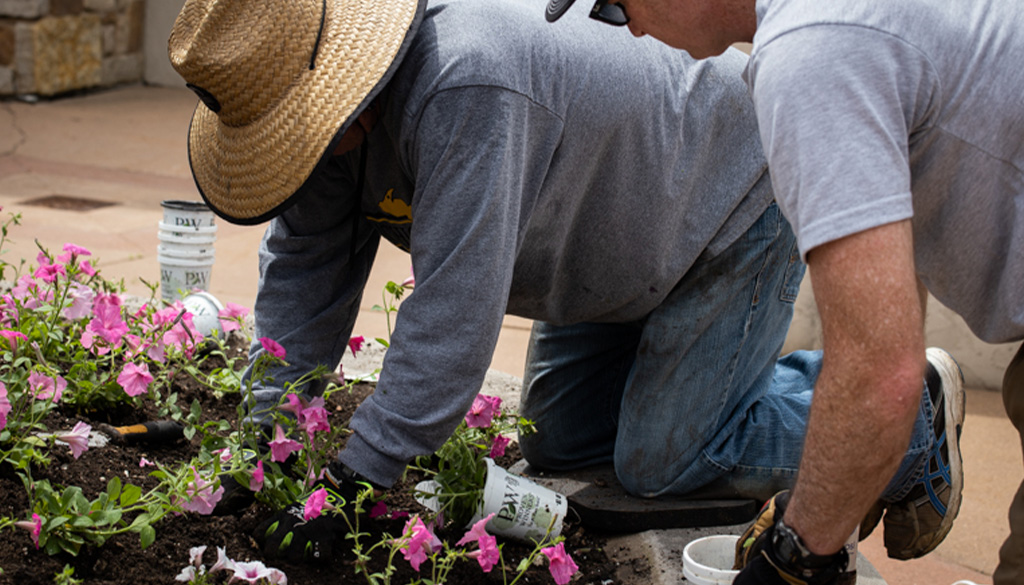 spring planting flower gardens at the Shrine of Our Lady of Guadalupe spring planting flower gardens at the Shrine of Our Lady of Guadalupe