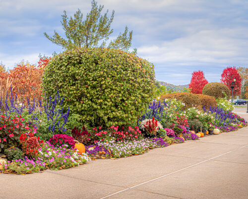 Colorful Shrine Gardens, Fall in the Bluffs Colorful Shrine Gardens, Fall in the Bluffs