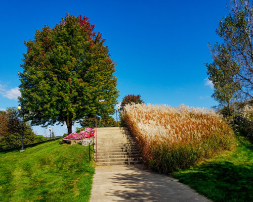 Early Fall at the Gudalupe Shrine La Crosse, Wisconsin Early Fall at the Gudalupe Shrine La Crosse, Wisconsin