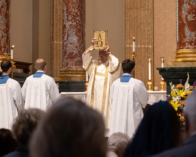 Gospel Acclimation Gospel Acclimation