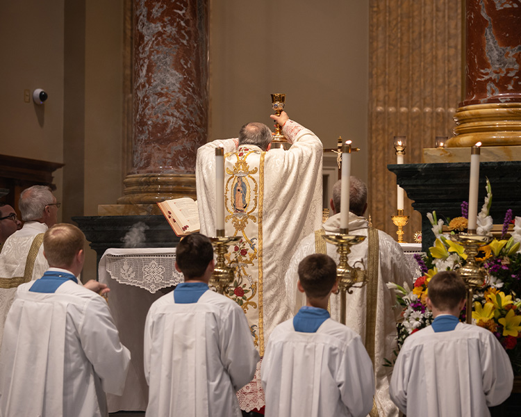 Liturgy of the Eucharist Cardinal Burke elevating the chalice Liturgy of the Eucharist Cardinal Burke elevating the chalice