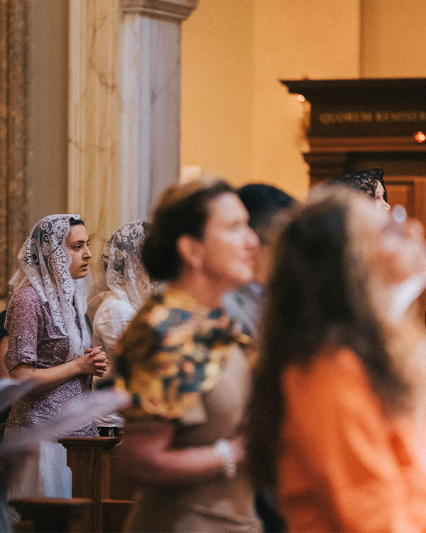 Mass Guild – Spanish Mass Guild – Spanish