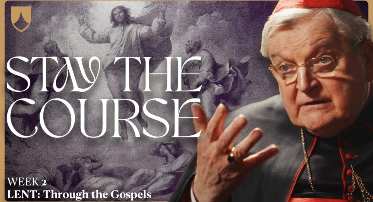 Stay the Course