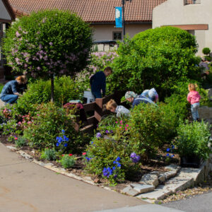 Spring Planting Days at the entrance to the Shrine of Our Lady of Guadalupe in La Crosse Wisconsin Spring Planting Days at the entrance to the Shrine of Our Lady of Guadalupe in La Crosse Wisconsin