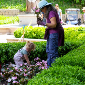 Volunteers planting flowers in the memorial to the unborn at the shrine of our lady of guadalupe Volunteers planting flowers in the memorial to the unborn at the shrine of our lady of guadalupe