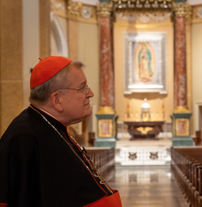 cardinal-burke-side-profile cardinal-burke-side-profile
